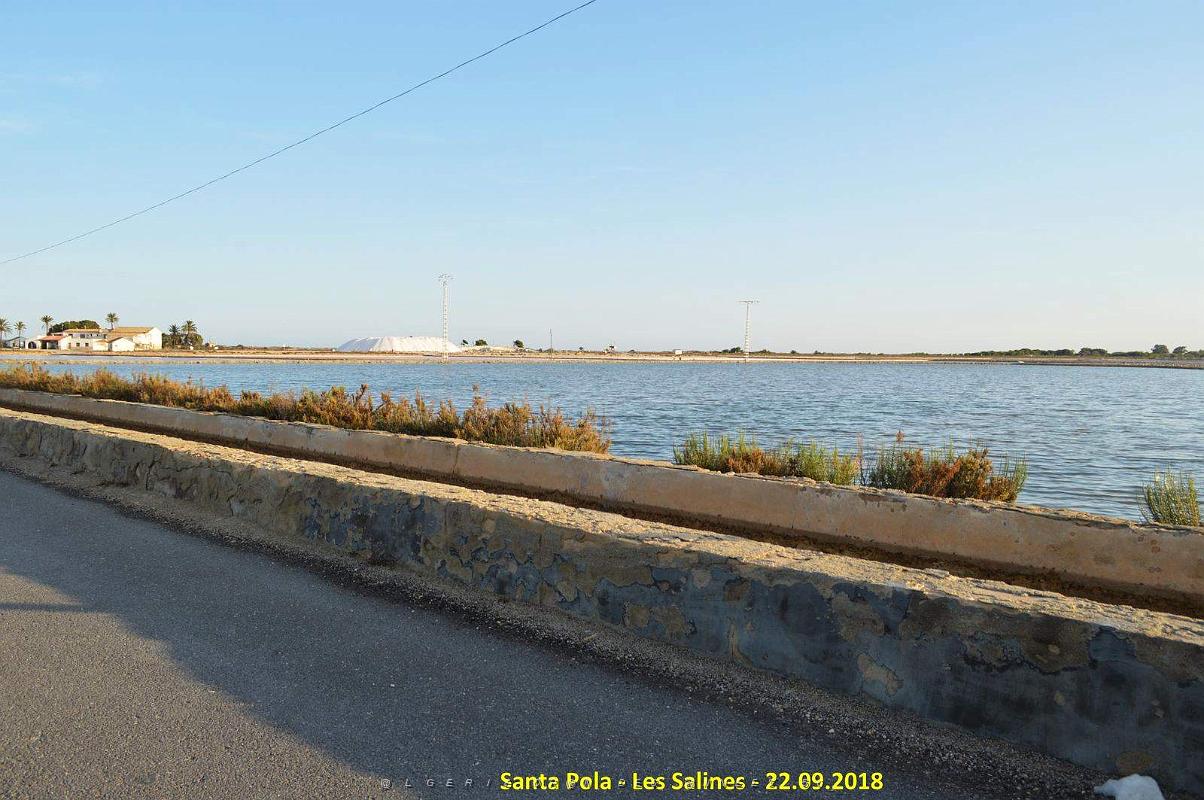 33 SANTA POLA LES SALINES (24).JPG